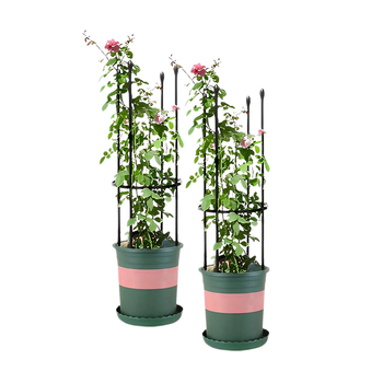 2X 73cm 4-Bar Plant Frame Stand Trellis Vegetable Flower Herbs Outdoor Vine Support Garden Rack with Rings image