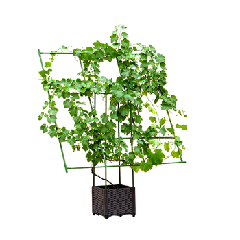 160cm Rectangular Inclined Plant Frame Tube Pergola Trellis Vegetable Flower Herbs Outdoor Vine Support Garden Rack image