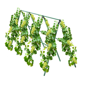 120cm Plant Frame Tube Trellis Vegetable Flower Herbs Outdoor Vine Support Adjustable Garden Rack image