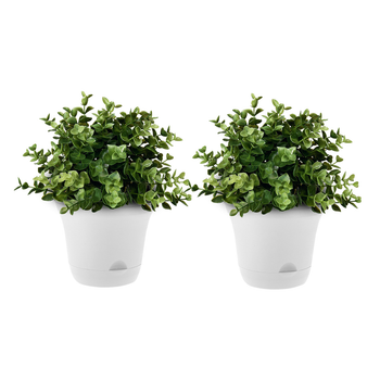 19.5 cm White Plastic Plant Pot Self Watering Planter Flower Bonsai Indoor Outdoor Garden Decor Set of 2 image