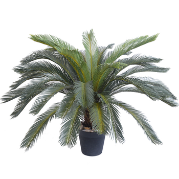 155cm Artificial Indoor Cycas Revoluta Cycad Sago Palm Fake Decoration Tree Pot Plant image