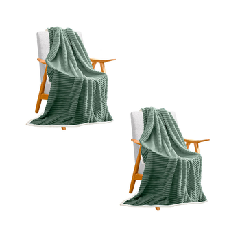 2X Light Green Throw Blanket Warm Cozy Double Sided Thick Flannel Coverlet Fleece Bed Sofa Comforter image