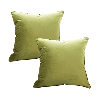 2X 45cm Subtle Fluorescent Green Foliage Velvet Square Throw Pillow image