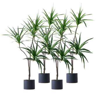 4X 180cm Green Artificial Indoor Brazlian Iron Tree Fake Plant Decorative 3 Heads image