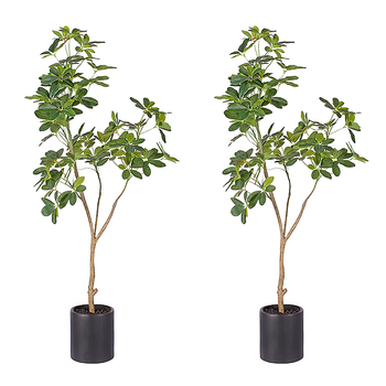 2X 160cm Artificial Natural Green Schefflera Dwarf Umbrella Tree Fake Tropical Indoor Plant Home Office Decor image