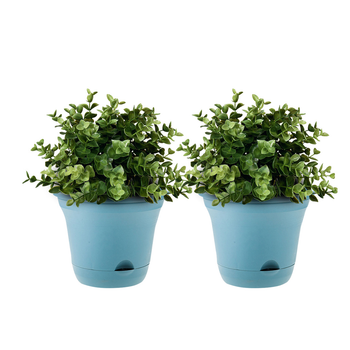 19.5 cm Blue Plastic Plant Pot Self Watering Planter Flower Bonsai Outdoor Garden Decor Set of 2 image