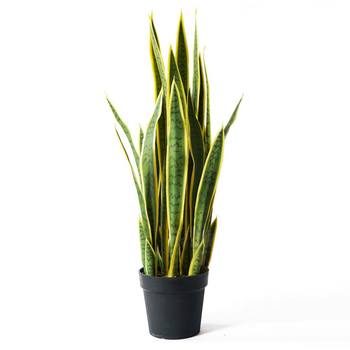 70cm Artificial Indoor Yellow Edge Tiger Piran Fake Decoration Tree Flower Pot Plant image