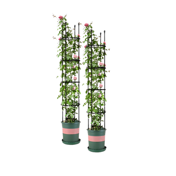 2X 163cm 4-Bar Plant Frame Stand Trellis Vegetable Flower Herbs Outdoor Vine Support Garden Rack with Rings image