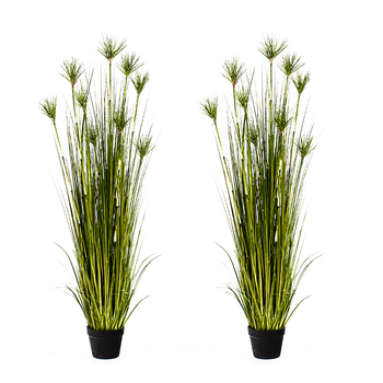 2X 150cm Cyperus Papyrus Plant Tree Artificial Green Grass, Home Or Office Indoor Greenery Accent image