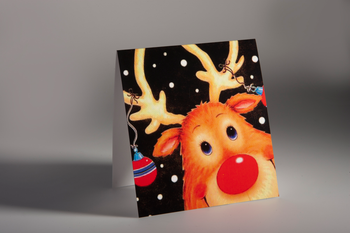 310gsm Artboard image