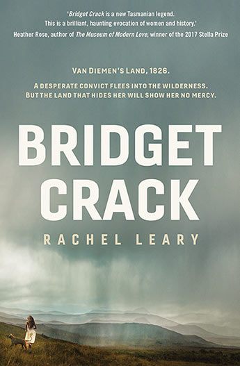 Bridget Crack image