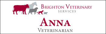 Anna - Name Tag image