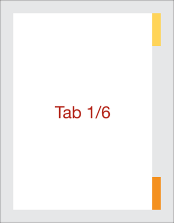 Tab Dividers - Full Pack - NSW image