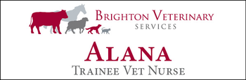 Alana - Name Tag image