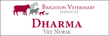 Dharma - Name Tag image