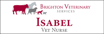 Isabel - Name Tag image
