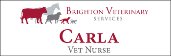 Carla - Name Tag image