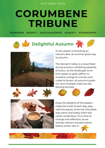 Corumbene Tribune image