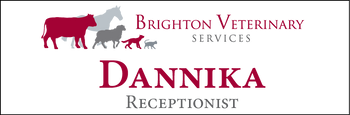 Dannika - Name Tag image