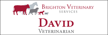 David - Name Tag image