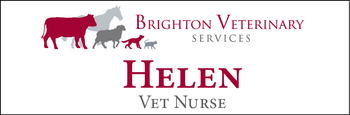 Helen - Name Tag image
