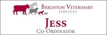 Jess - Name Tag image