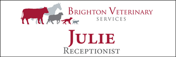 Julie - Name Tag image