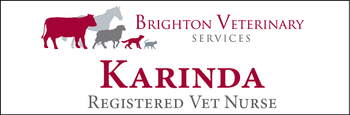 Karinda - Name Tag image
