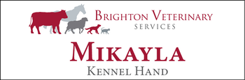 Mikayla - Name Tag image