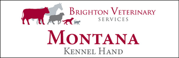 Montana - Name Tag image