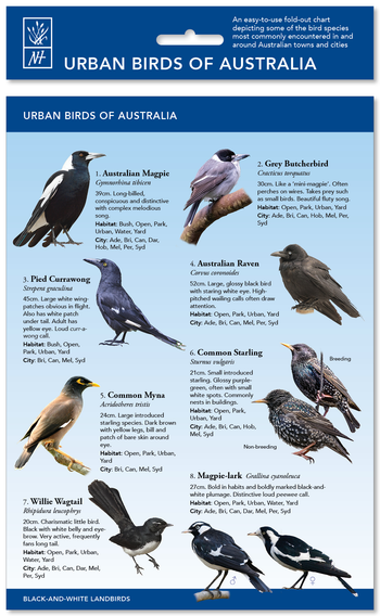 Urban Birds of Australia ID Chart image