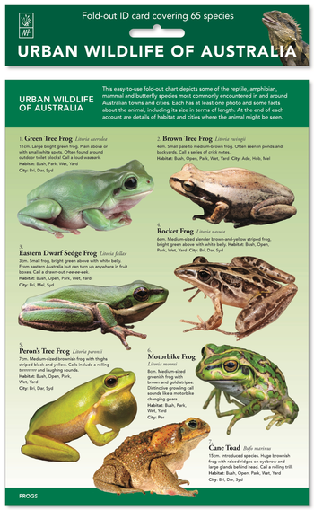Urban Wildlife of Australia ID Chart image