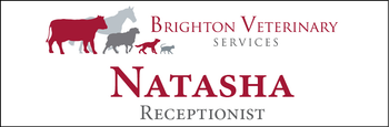 Natasha - Name Tag image
