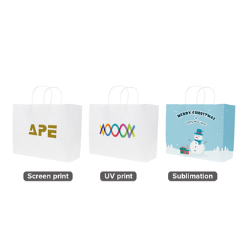 Twist Handle Kraft Paper Bag (320x250x120mm) image