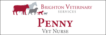 Penny - Name Tag image