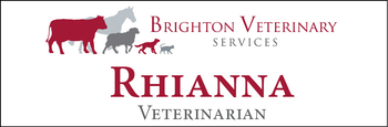 Rhianna - Name Tag image