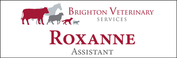 Roxanne - Name Tag image