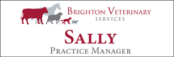 Sally - Name Tag image