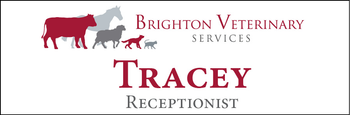 Tracey - Name Tag image
