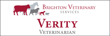 Verity - Name Tag image