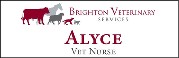 Alyce - Name Tag image