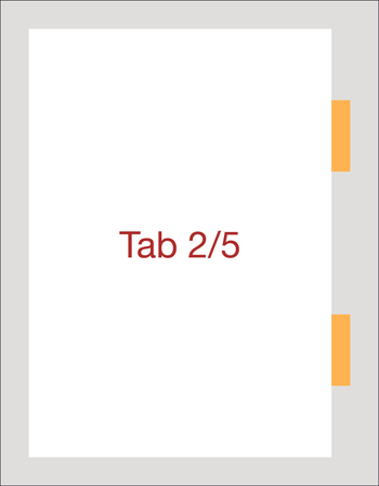 Tab Dividers - Tab 2/5 - NSW image