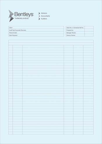 A4 Work Pads Blue - WA image